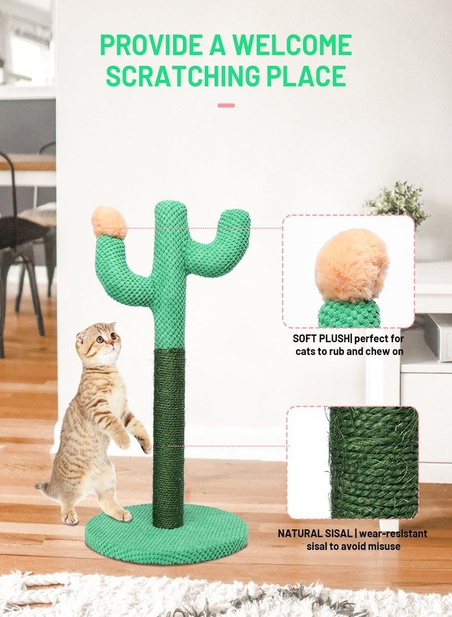 Bdor Cat Scratching Post, Cactus Cat Scratcher with Nature Sisal Rope for Indoor Adults Cats and Kitten, Resistant Carpet Scratch Post, Green - Image 5