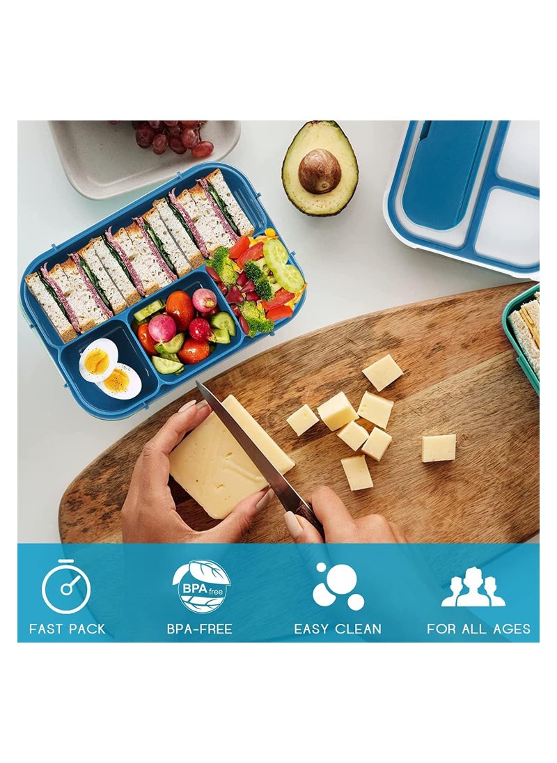 Lunch Box for Adults and Kids 4 Compartment Lunch Box with Fork - Durable Perfect Size - Leak-Proof - Reusable - BPA Free and Freezer Safe Food Containers