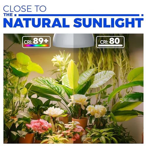 Barrina Hanging Grow Lights for Indoor Plants, 25W Full Spectrum, with Timer and 16.4FT Power Cord, Pendant Plant Lights for Indoor Growing, Large Tall Plant, Garden, Flowers, Greenhouse - Image 4