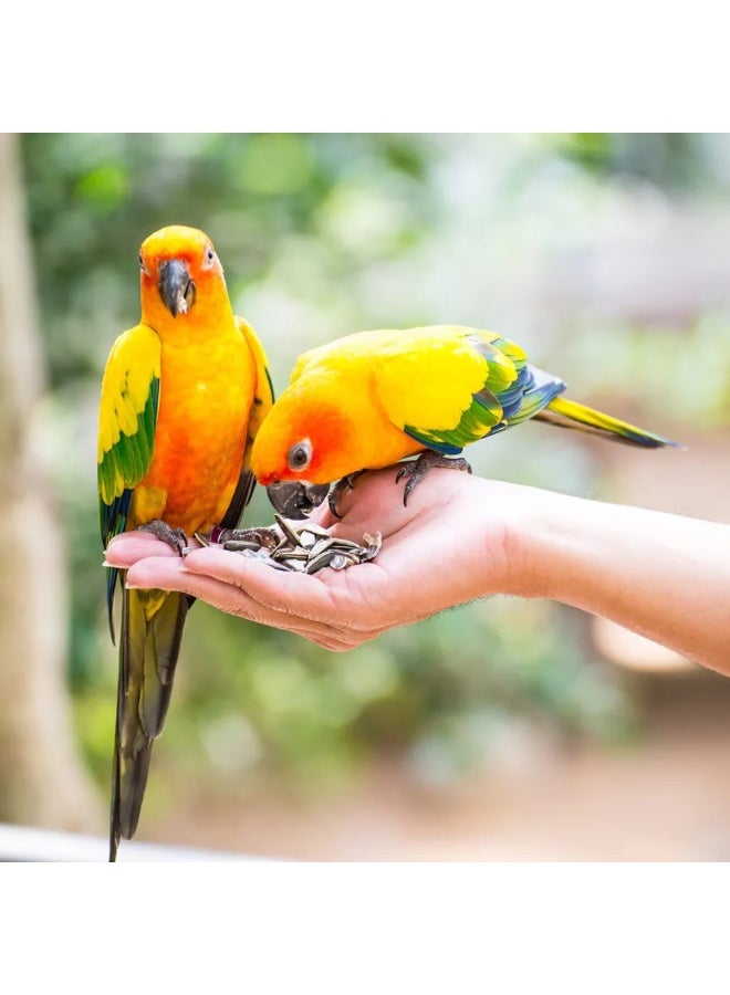 Volo Seedy Parakeet Mix 950g - Image 2