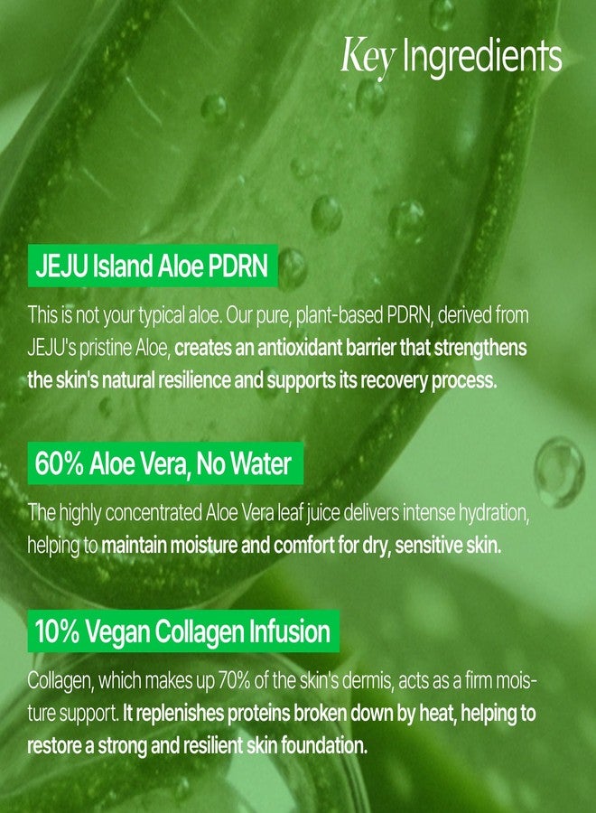 shaishaishai ALOE PDRN Cooling Repair Ampoule, Instant Cooling with 10% Vegan Collagen, Hyaluronic Acid, Ice-Glow Skin, Korean Skin Care, 1.69 Fl Oz - Image 5