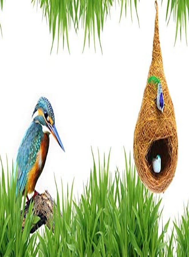 LIVEONCE Hold Ring Safest Round Organic Showpiece Nest with Two Birds Purely Hand Made Love Birds (Medium) - Image 3