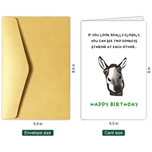 Chenive Funny Donkey Birthday Card Gift for Him Her, Quirky Birthday Card Gift for Friend Brother Sister, Humorous Birthday Greeting Cards Gifts for Men Women, Two Donkeys Staring at Each Other - Image 2