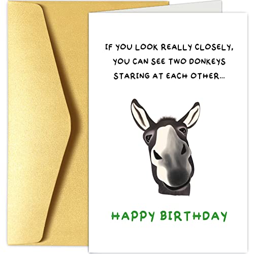 Chenive Funny Donkey Birthday Card Gift for Him Her, Quirky Birthday Card Gift for Friend Brother Sister, Humorous Birthday Greeting Cards Gifts for Men Women, Two Donkeys Staring at Each Other - Image 1