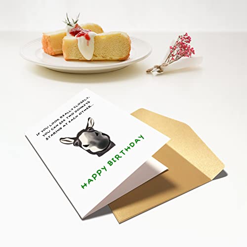 Chenive Funny Donkey Birthday Card Gift for Him Her, Quirky Birthday Card Gift for Friend Brother Sister, Humorous Birthday Greeting Cards Gifts for Men Women, Two Donkeys Staring at Each Other - Image 5