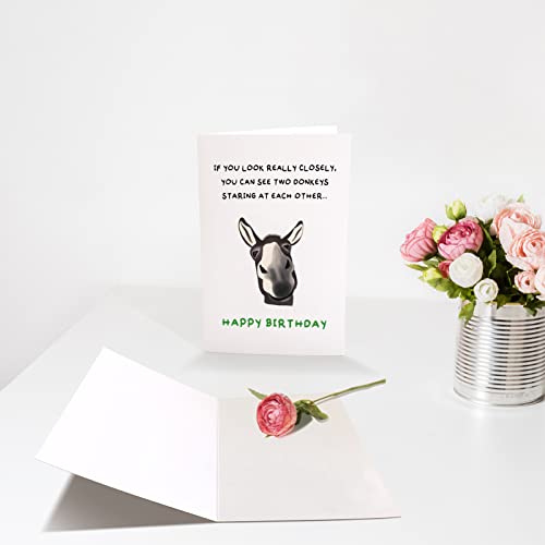 Chenive Funny Donkey Birthday Card Gift for Him Her, Quirky Birthday Card Gift for Friend Brother Sister, Humorous Birthday Greeting Cards Gifts for Men Women, Two Donkeys Staring at Each Other - Image 3