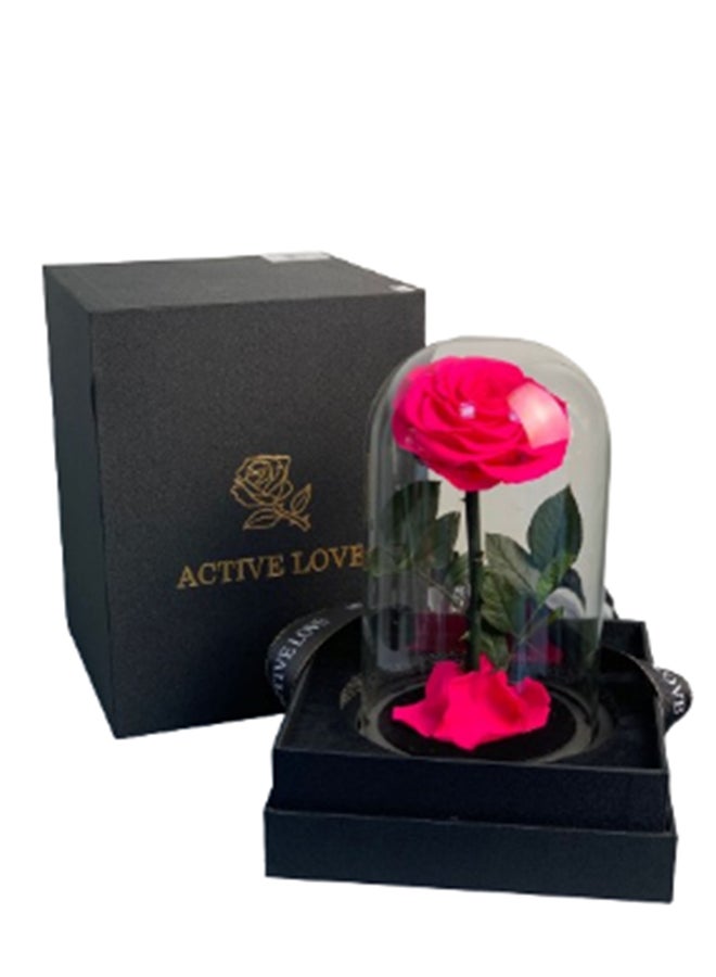wardi Special Fuschia Infinity Rose In A Box
