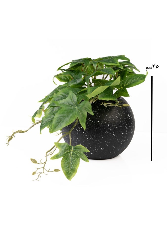 DRAMA HOME Artificial Hanging Plant for Home Décor in Black Pot in a Circular Shape  - Image 1