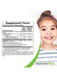 Natures Plus Naturesplus Animal Parade Kidzinc Tangerine Flavor 90 Animalshaped Lozenges Pack Of 2 Organically Chelated Zinc Vegan Gluten Free 180 Total Servings  - Image 5