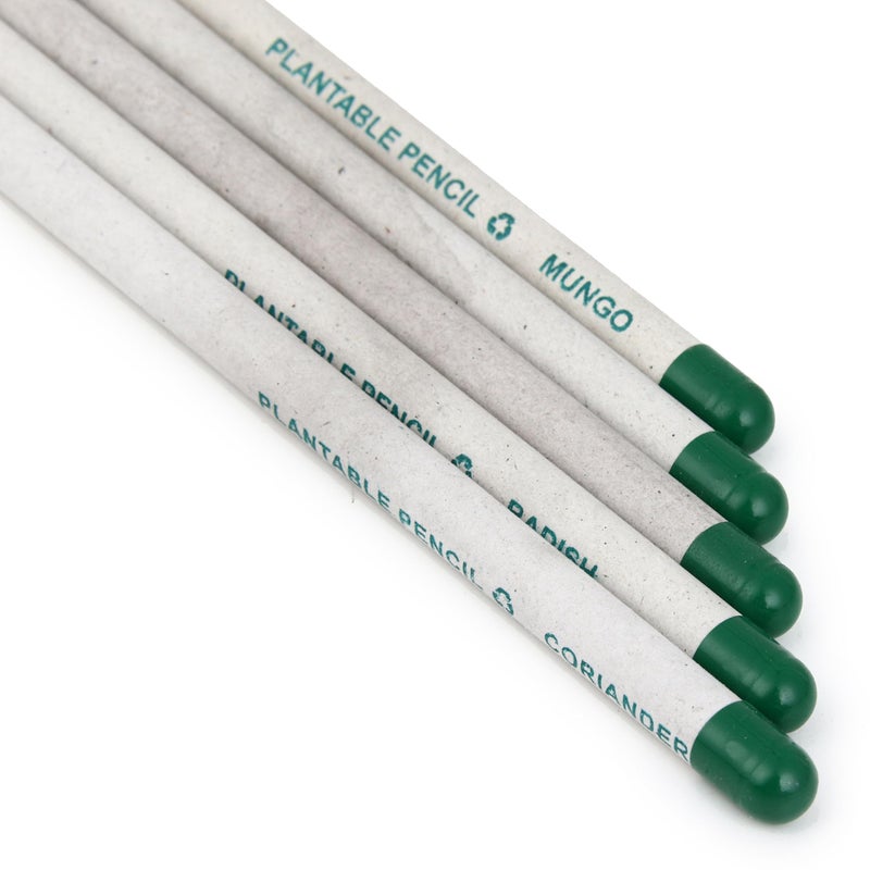 GoodWill Tech GoodWill Tech Eco-Friendly recycled newspaper white seed pencils for kids school,writing, Sketching, Drawing, Pack of 50  - Image 2