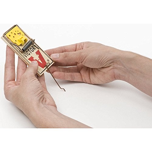 Victor Easy Set Mouse Trap 4 Pack M033 - Wooden Easy Set Mouse Trap - Prebaited - Image 4