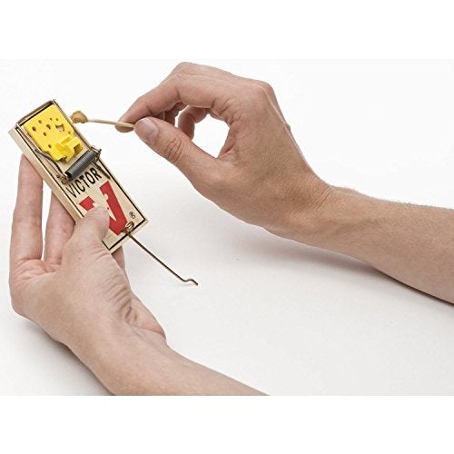 Victor Easy Set Mouse Trap 4 Pack M033 - Wooden Easy Set Mouse Trap - Prebaited - Image 5