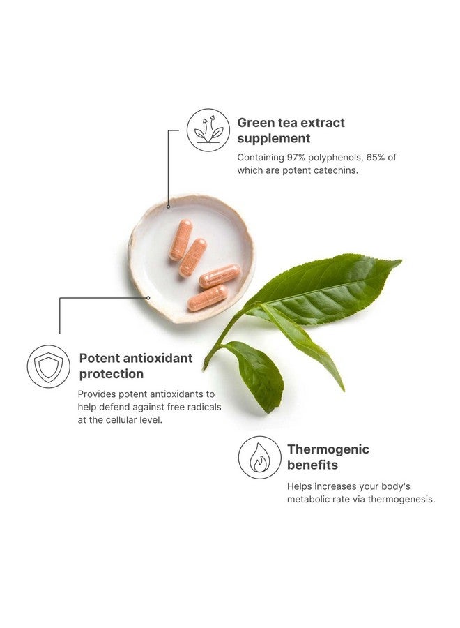 Nu Skin Pharmanex Tēgreen 97 | 30ct | Premium Green Tea Extract Capsules, Powerful Antioxidant & Metabolic Booster with Digestive Enzymes, Essential for a Healthy Lifestyle - Image 3