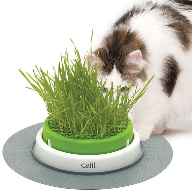 Catit Senses 2.0 Cat Grass Planter, Interactive Cat Toys - Image 1