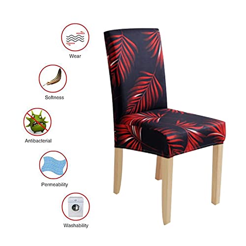 Styleys Elastic Chair Cover Stretchable Removable Washable Dining Chair Covers Set of 4 Protector Seat Slipcovers (Set of 4, SLMC158 Black/Red Fern) - Image 3