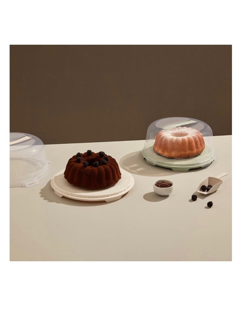 Dunya Plastik Dunya turkish circle carrier cake and bread and muffins, food box, food containers - Image 2