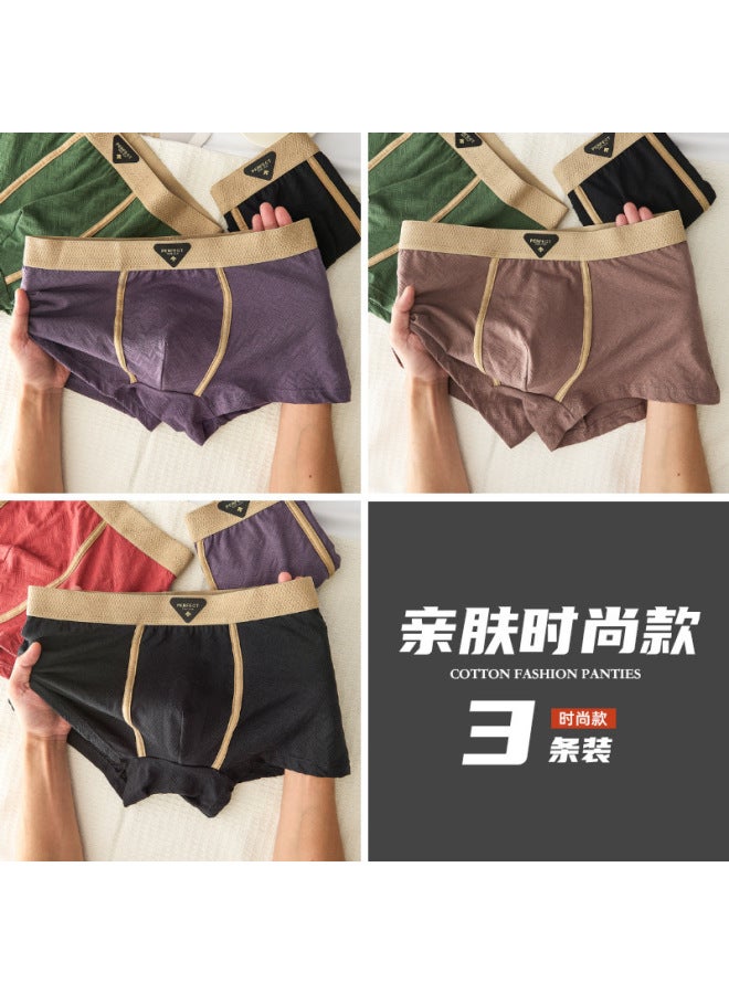 Autumn And Winter New Pure Cotton Men's Underwear 10a Antibacterial Breathable Comfortable Shorts Large Size Men's Boxer Briefs For Dropshipping