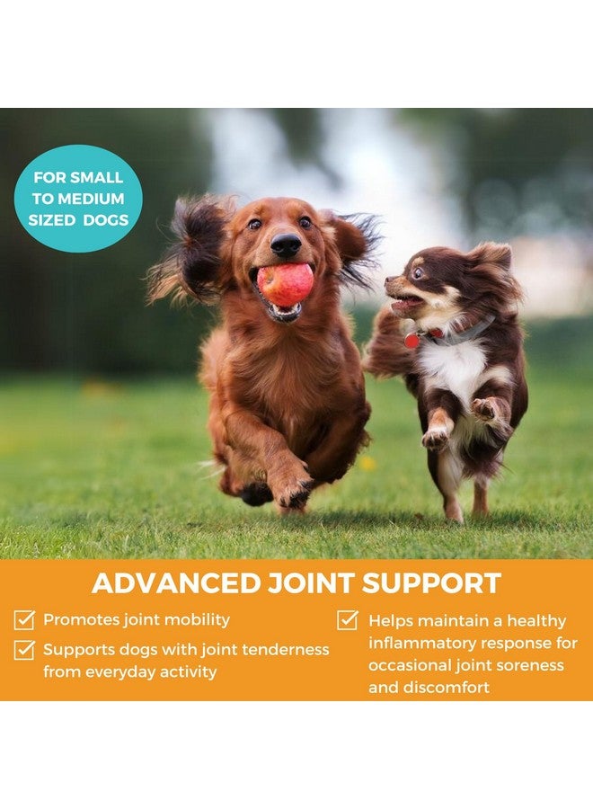 nootie Nootie Progility Mini Hip & Joint Small & Medium Breed Chew Supplement for Dogs, 60 Count - Image 2