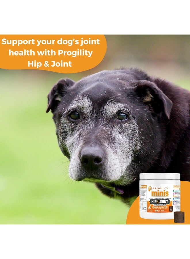 nootie Nootie Progility Mini Hip & Joint Small & Medium Breed Chew Supplement for Dogs, 60 Count - Image 3