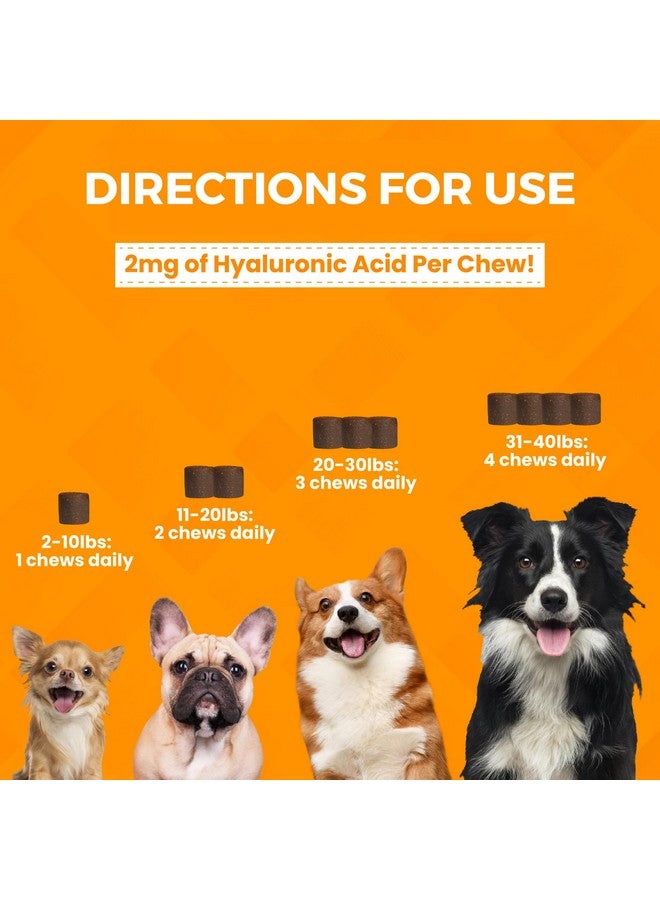 nootie Nootie Progility Mini Hip & Joint Small & Medium Breed Chew Supplement for Dogs, 60 Count - Image 4