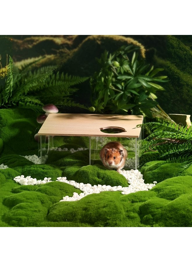 BUCATSTATE BUCATSTATE Hamster Hideout 3-Chamber, Acrylic Transparent Hamster House Multi-Room Hut & Habitats with Window for Syrian Dwarf Hamster, Gerbils, Degus - Image 5
