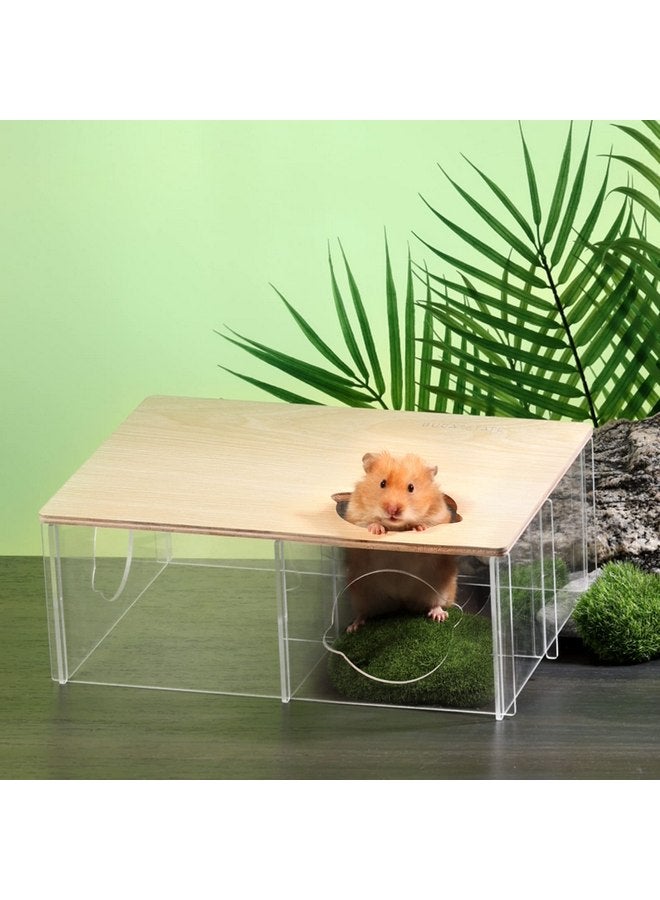 BUCATSTATE BUCATSTATE Hamster Hideout 3-Chamber, Acrylic Transparent Hamster House Multi-Room Hut & Habitats with Window for Syrian Dwarf Hamster, Gerbils, Degus - Image 4