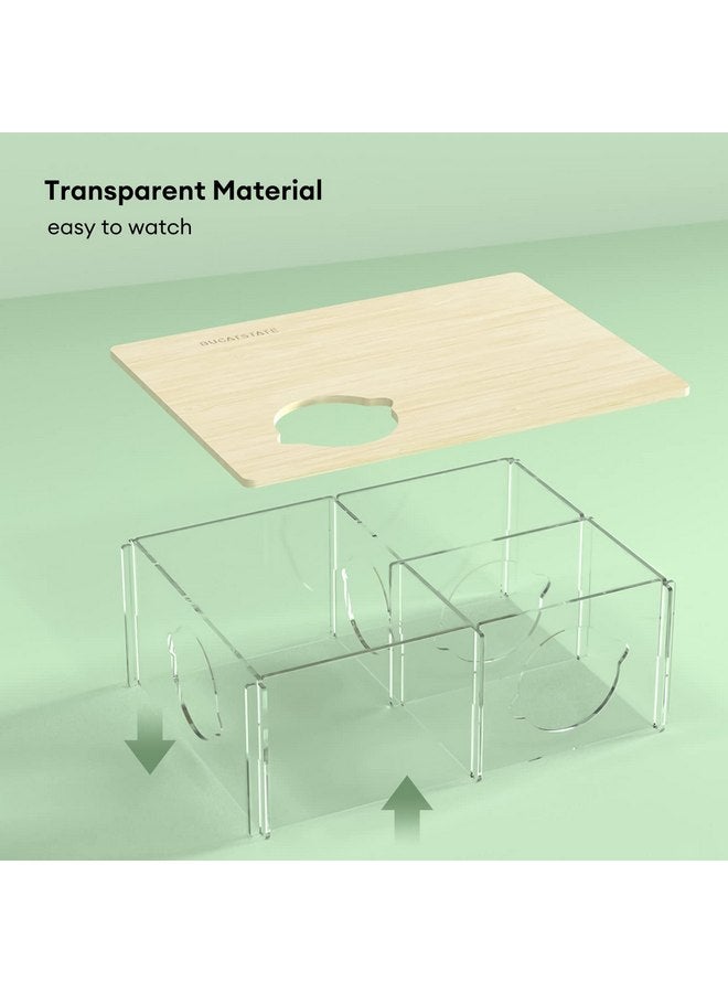 BUCATSTATE BUCATSTATE Hamster Hideout 3-Chamber, Acrylic Transparent Hamster House Multi-Room Hut & Habitats with Window for Syrian Dwarf Hamster, Gerbils, Degus - Image 3