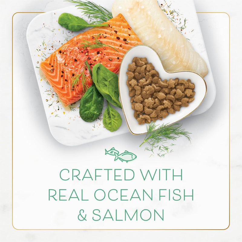 Fancy Feast Purina Fancy Feast Dry Cat Food With Ocean Fish, Salmon, and Garden Greens Accents - 7 lb. Bag - Image 3