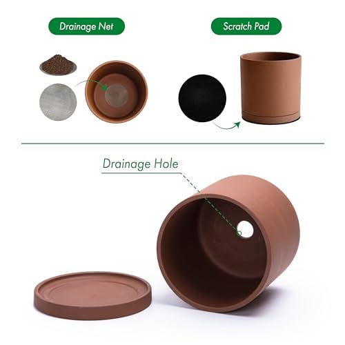 D'vine Dev 4 Inch Rust Terracotta Plant Pot with Drainage Hole and Saucer, Round Cylinder Planter Pot for Indoor Plants, 40-V-A-3 - Image 4
