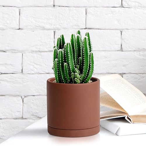 D'vine Dev 4 Inch Rust Terracotta Plant Pot with Drainage Hole and Saucer, Round Cylinder Planter Pot for Indoor Plants, 40-V-A-3 - Image 5