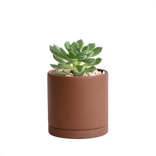 D'vine Dev 4 Inch Rust Terracotta Plant Pot with Drainage Hole and Saucer, Round Cylinder Planter Pot for Indoor Plants, 40-V-A-3 - Image 1