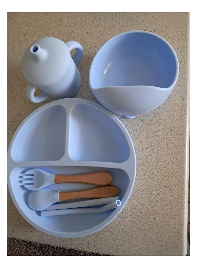 Silicone Baby Weaning Feeding Set 10 Pieces, Baby Toddler Dish Set, Baby Led Weaning Supplies Set, Divided Plate, Suction Bowl, Bib, Spoon, Fork, Sippy Cup, BPA-Free, Easy to Clean