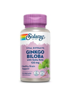One Daily Ginkgo Biloba Leaf Extract ; Healthy Blood Circulation Memory & Brain Function Support (60 Vegcaps) (30 Vegcaps)