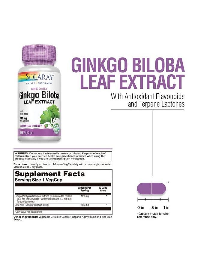 Solaray - One Daily Ginkgo Biloba Leaf Extract ; Healthy Blood Circulation Memory & Brain Function Support (60 Vegcaps) (30 Vegcaps) - Image 1