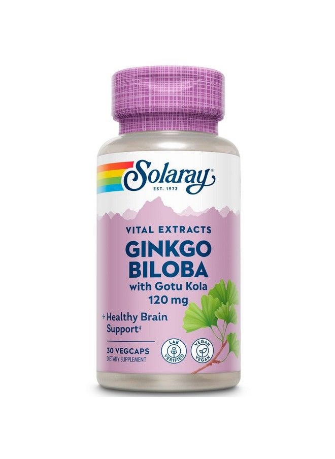 Solaray - One Daily Ginkgo Biloba Leaf Extract ; Healthy Blood Circulation Memory & Brain Function Support (60 Vegcaps) (30 Vegcaps) - Image 1
