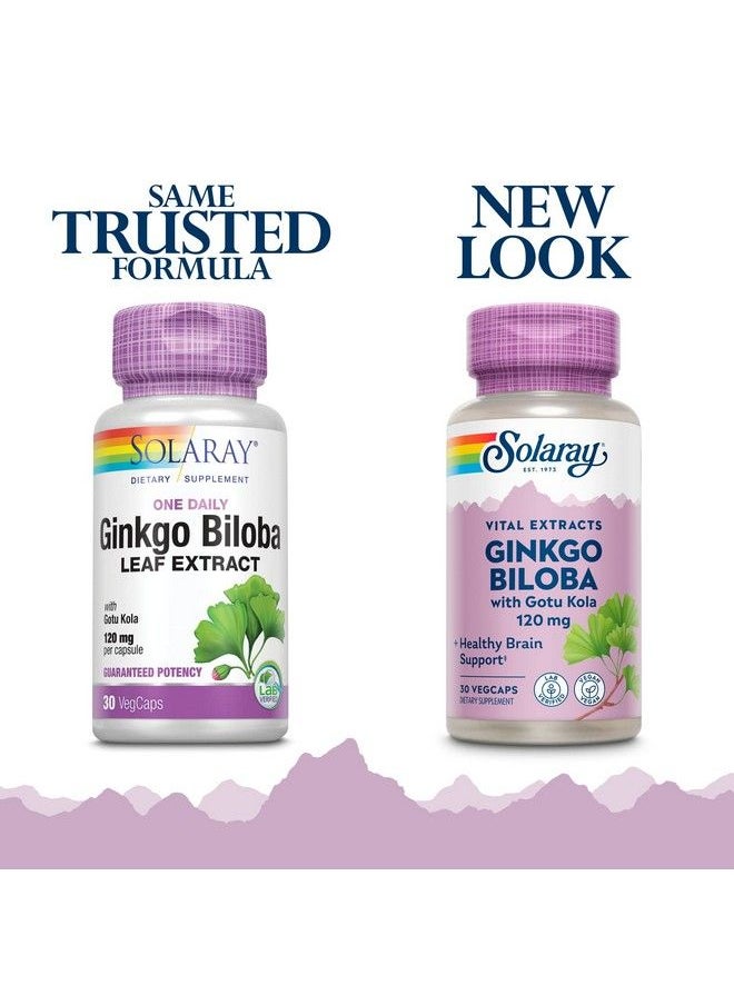 Solaray - One Daily Ginkgo Biloba Leaf Extract ; Healthy Blood Circulation Memory & Brain Function Support (60 Vegcaps) (30 Vegcaps) - Image 1