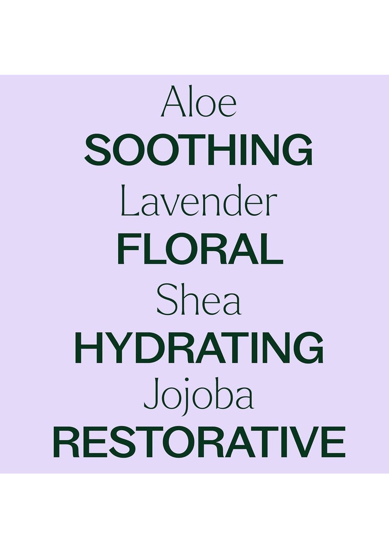 Plant Therapy - Plant Therapy Lavender Body Lotion with Aloe and Shea, Hydrate and Nourish Skin with Botanical Ingredients, 8 oz - Image 1