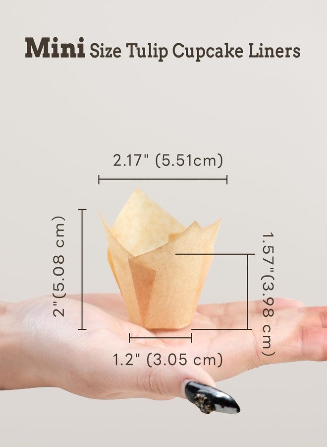 Bake Choice Mini Tulip Paper Muffin Boxes, 200 Pieces, Bottom Diameter 3 cm, European Parchment Paper, Unbleached & Grease-Resistant, For Christmas/Valentine's Day, Natural, Mini Size - Image 2