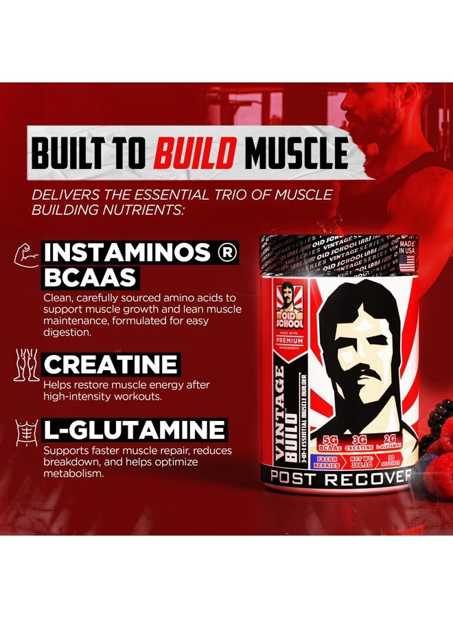 Old School Labs Vintage Build – Post Workout Recovery & Muscle Building Powder Drink for Muscular Strength & Growth - Reduces Soreness – Creatine Monohydrate, BCAAs, L-Glutamine – Fresh Berries Flavor – 377g - Image 2
