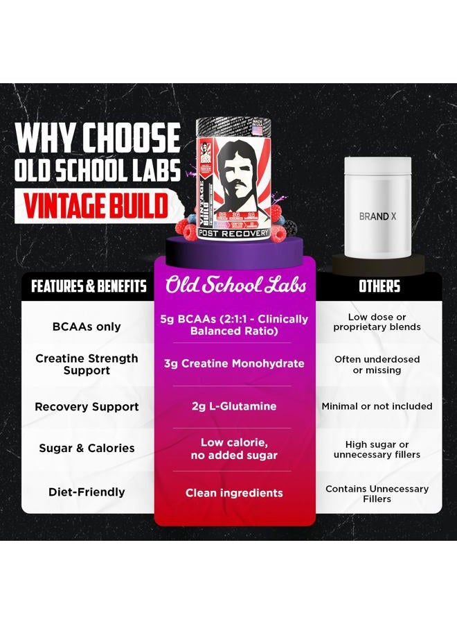 Old School Labs Vintage Build – Post Workout Recovery & Muscle Building Powder Drink for Muscular Strength & Growth - Reduces Soreness – Creatine Monohydrate, BCAAs, L-Glutamine – Fresh Berries Flavor – 377g - Image 4
