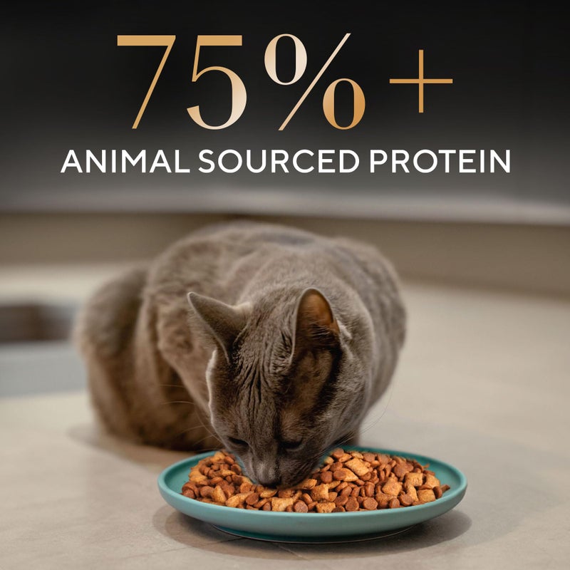 Sheba طعام القطط الجافة شيفا للقطط الصغيرة والبالغة، بنكهة الدجاج، 1.5 كجم، يحتوي على 41 عنصر غذائي أساسي، تغذية كاملة ومتوازنة - Image 3