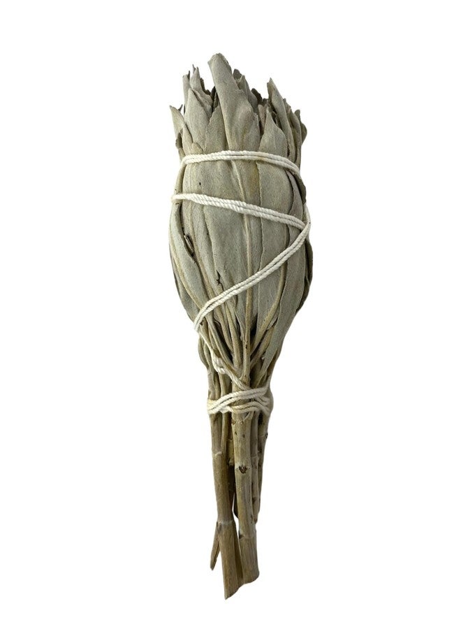 NessaStores 6 California White Sage Smudge Sticks, 3 to 4 Inch Hand Tied, All Natural for Home Cleansing, Stress Relief, & Clearing Negative Energy JC-005 - Image 3