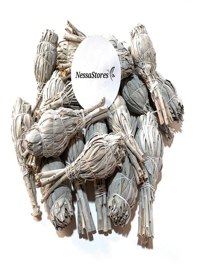 NessaStores 6 California White Sage Smudge Sticks, 3 to 4 Inch Hand Tied, All Natural for Home Cleansing, Stress Relief, & Clearing Negative Energy JC-005 - Image 1