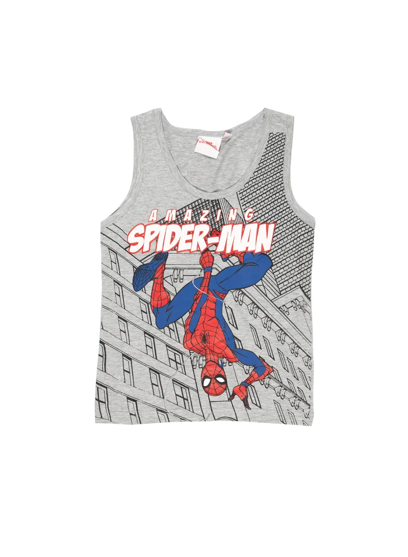 Spiderman Spider-Man Boys Shorts Set, Grey