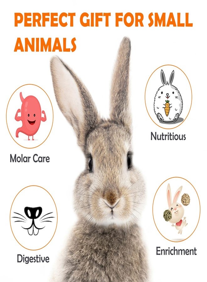 Sofier 28Pcs Timothy Hay Treats Rabbit Toys Bunny Toys Guinea Pig Natural Handmade Treats and Chews for Small Animals Hamster Chinchilla Rat Gerbil - Image 4