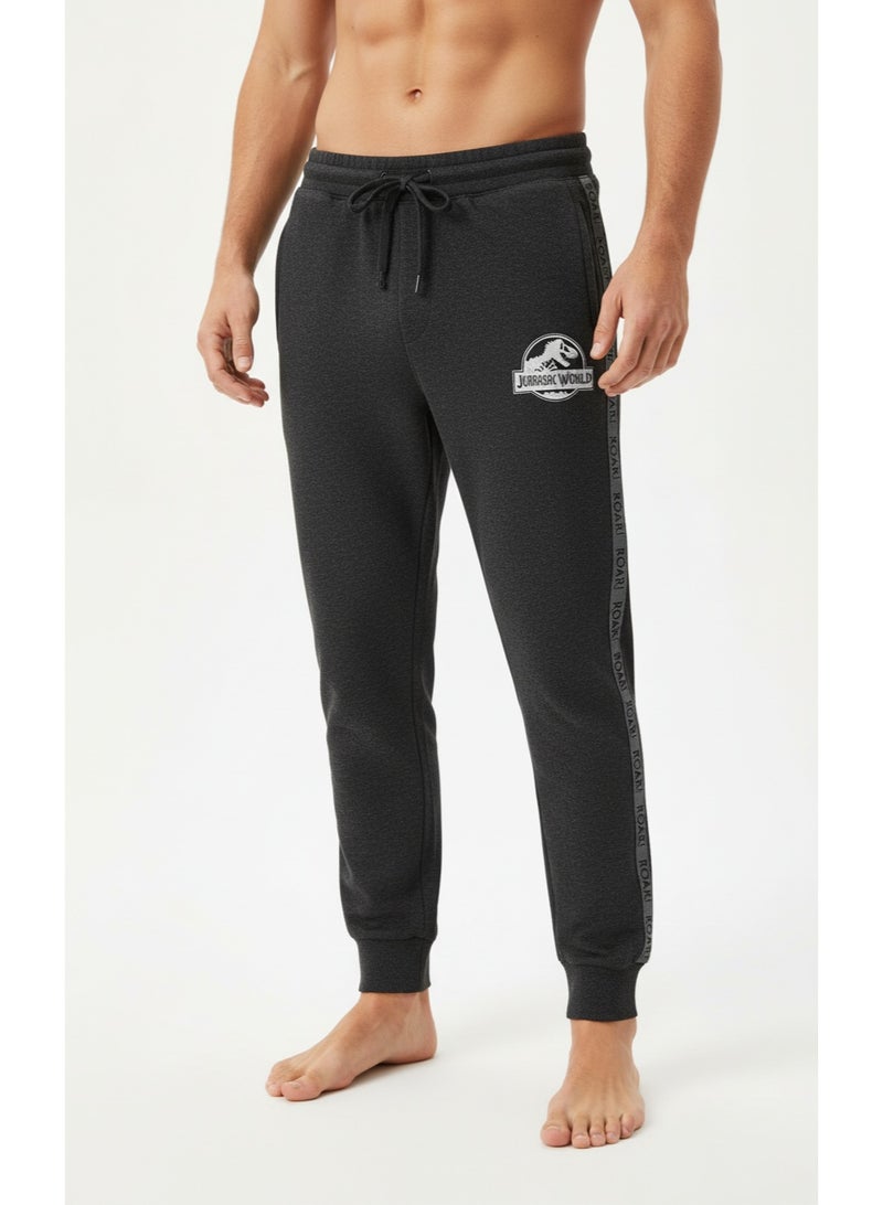Jurassic Park JOGGERS MENS JURASSIC WORLD - Image 2