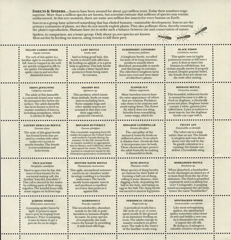 United States Postal Service Insects and Spiders, Full Sheet of 20 x 33-Cent Postage Stamps, USA 1999, Scott 3351 - Image 2