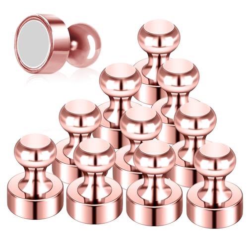 GOOZADA 12Pack Rose Gold Fridge Magnets Refrigerator Magnets Adults Magnets for Whiteboard School Office Locker Kitchen Decorative Small and Strong