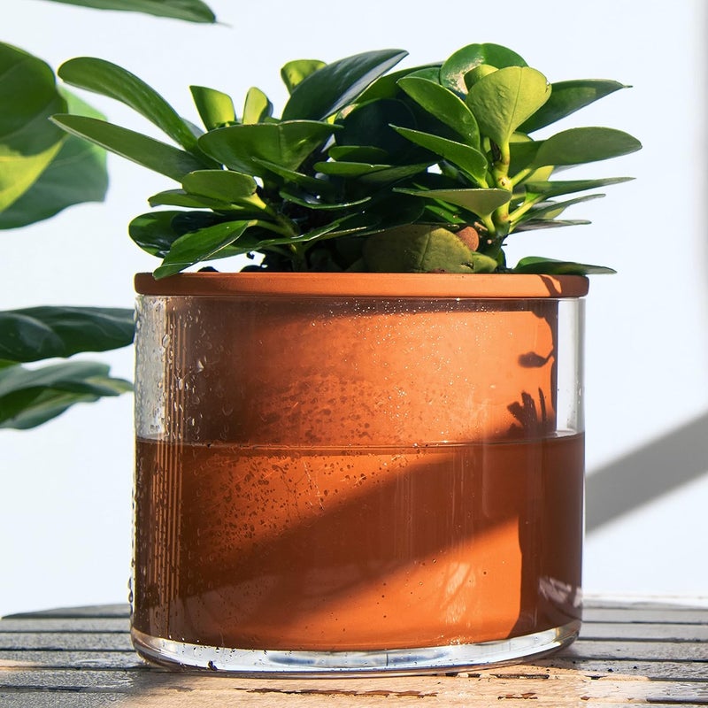 Phoenix Vine 4 Inch 6 Inch Self Watering Plants Pots, Design Terracotta Pots for Plants, Indoor Cylinder Terra Cotta Planter with Glass Vase Set, 51-A-G-46 - Image 5