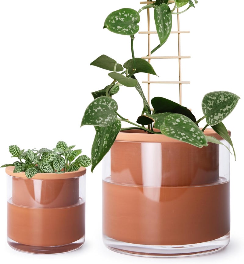 Phoenix Vine 4 Inch 6 Inch Self Watering Plants Pots, Design Terracotta Pots for Plants, Indoor Cylinder Terra Cotta Planter with Glass Vase Set, 51-A-G-46 - Image 1